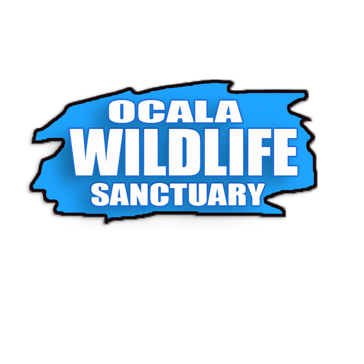 Wildlife Logos - 158+ Best Wildlife Logo Ideas. Free Wildlife Logo Maker. |  99designs